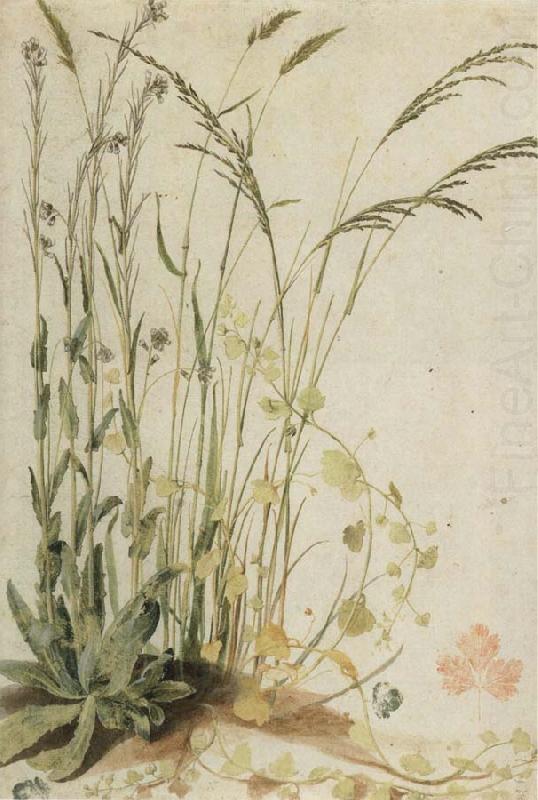 Grasses, unknow artist